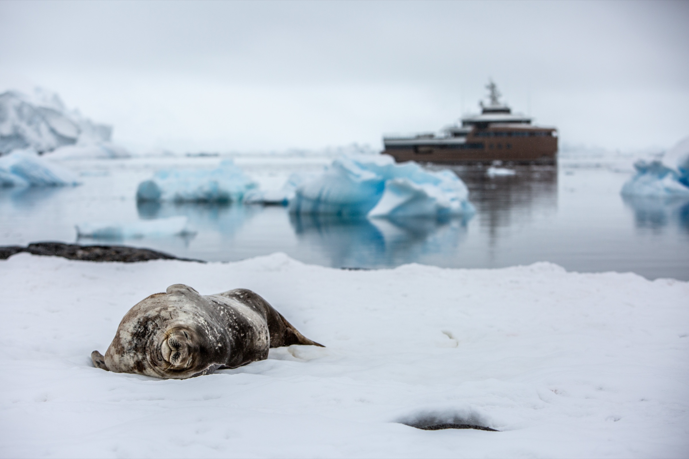 Expedition in the ice